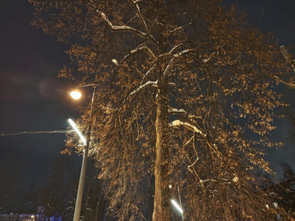 Мощный смартфон, а остальное компромиссы? Обзор POCO F8 Pro