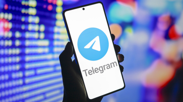В отношении Telegram составлены 7 протоколов за отказ удалить незаконный контент