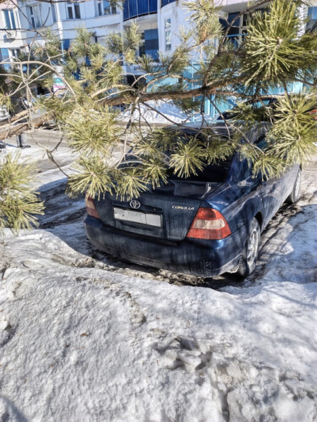 Обзор Infinix Note Edge: недорогой и стильный смартфон с емкой батареей, динамиками JBL и Android 16 из коробки