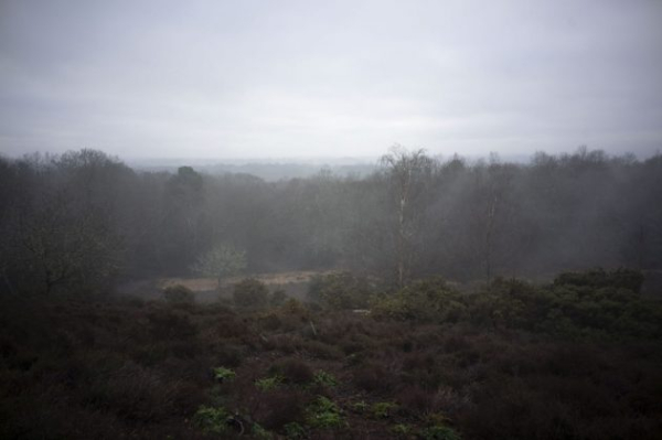 Обзор Viltrox AF 28mm f/4.5: объектив с неповторимым характером