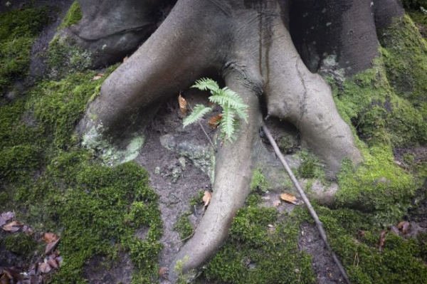 Обзор Viltrox AF 28mm f/4.5: объектив с неповторимым характером