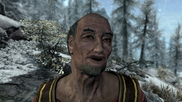 &laquo;Её не существует&raquo;: Тодд Говард призвал всех забыть, что Bethesda анонсировала The Elder Scrolls VI 