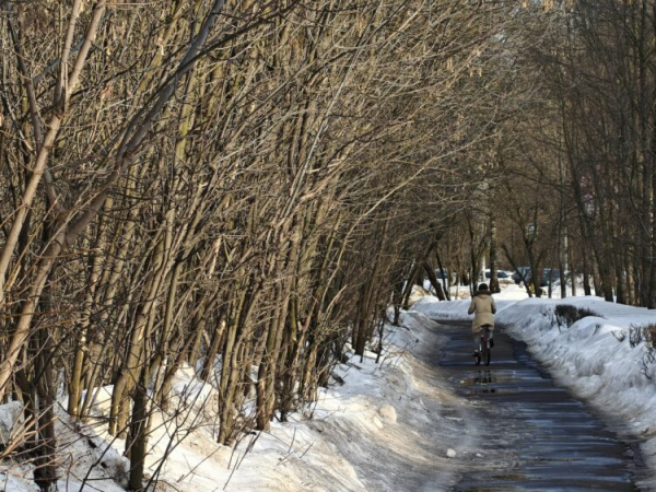 Как снимает realme 16 Pro+. Смартфон для портретов с телевиком и красивым корпусом