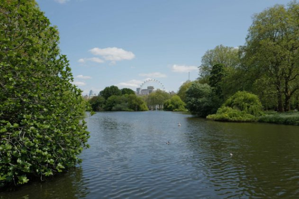 Обзор Leica Q3 &mdash; идеальная премиальная компактная камера