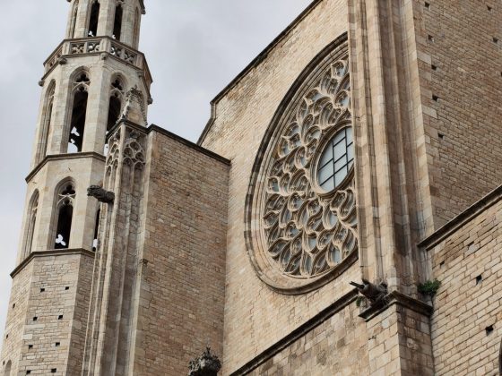 Обзор Nothing Phone (4a): его главная фишка &mdash; совсем не железо