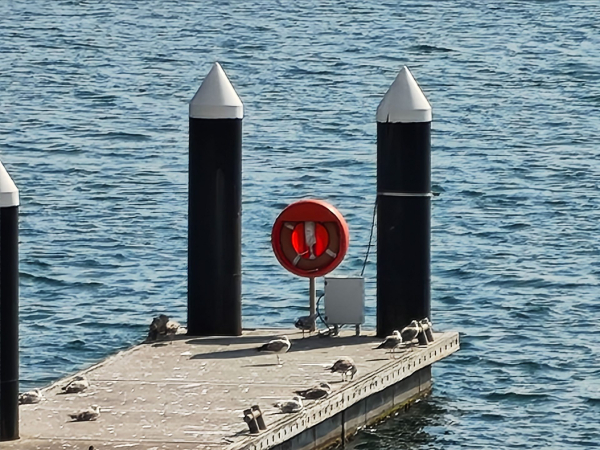 Обзор Nothing Phone (4a): его главная фишка &mdash; совсем не железо