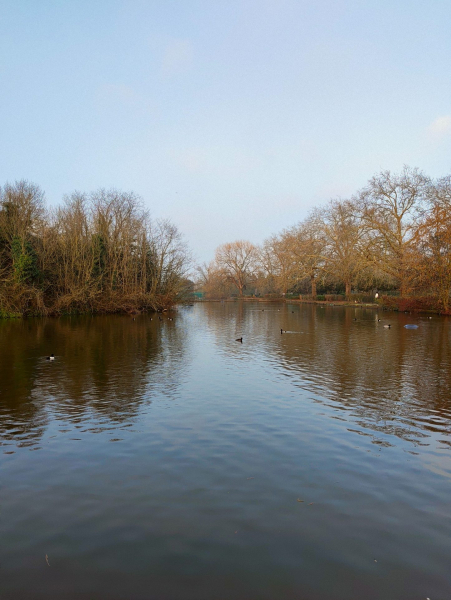 Обзор Nothing Phone (4a): его главная фишка &mdash; совсем не железо