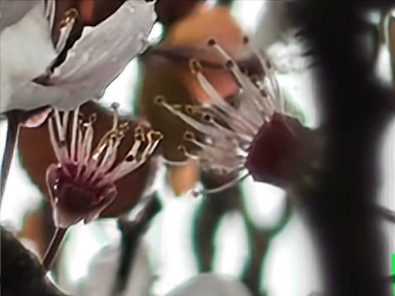 Обзор Nothing Phone (4a): прозрачное искушение и наличие в Москве