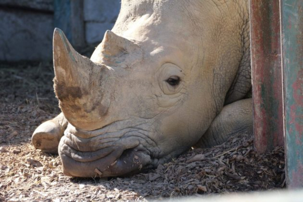 Обзор Panasonic Lumix G9 II &mdash; новый гибридный MFT-флагман