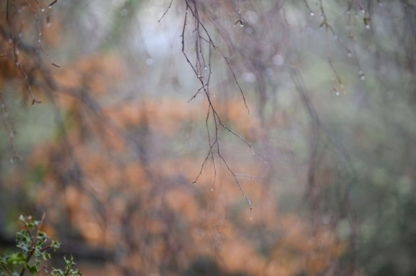 Обзор Viltrox 85mm f/1.4 Pro &mdash; превосходит дорогие объективы и продается в России&nbsp;