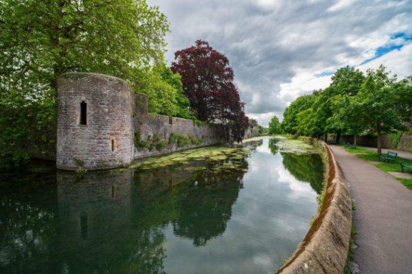 Обзор Viltrox AF 16mm F1.8: заряженный по полной ширик и наличие в Москве