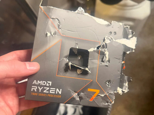 Собака прогрызла AMD Ryzen 7 7700X, повредив контакты процессора