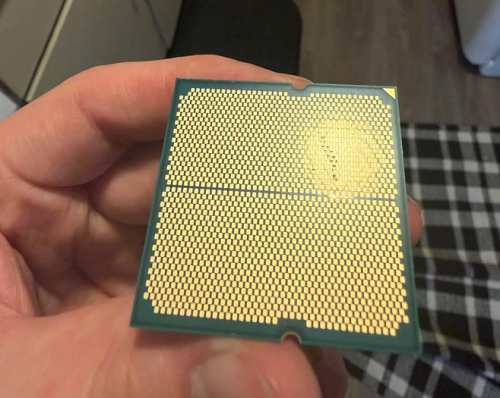 Собака прогрызла AMD Ryzen 7 7700X, повредив контакты процессора
