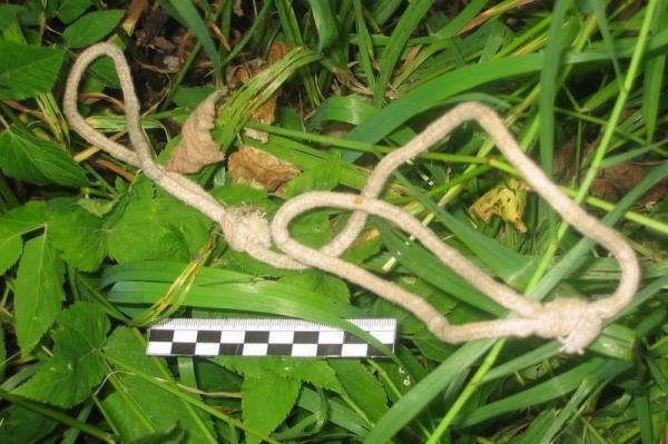 
Русский Зодиак. Нейросеть вычислила портрет опасного маньяка из Череповца    