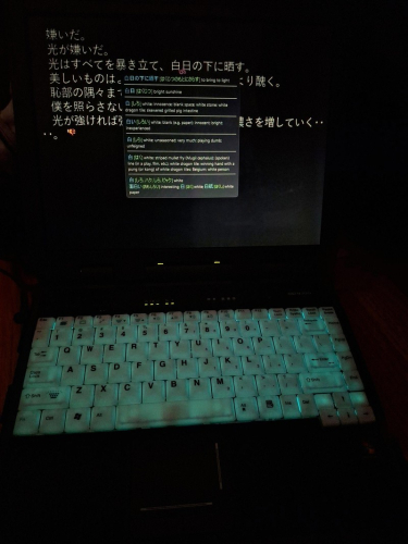 Геймер нашел старый ноутбук военных и теперь использует его для эроге