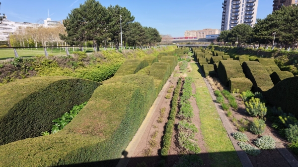 Обзор DJI Osmo Pocket 4: стоит ли обновляться ради гламурных фильтров?