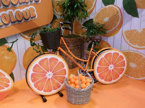 Обзор Kodak PixPro FZ45: камера по смешной цене