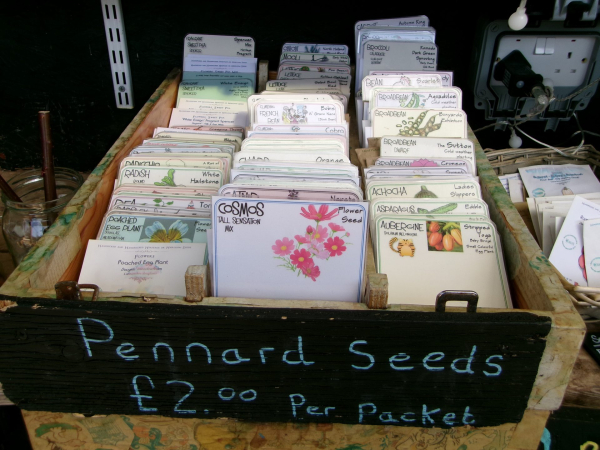 Обзор Kodak PixPro FZ45: камера по смешной цене