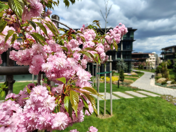 Обзор Moto G Stylus (2026) &mdash; стилус и живучий смартфон