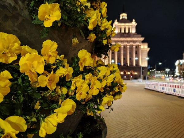 Обзор Moto G Stylus (2026) &mdash; стилус и живучий смартфон