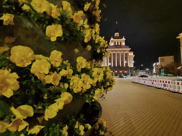 Обзор Moto G Stylus (2026) &mdash; стилус и живучий смартфон