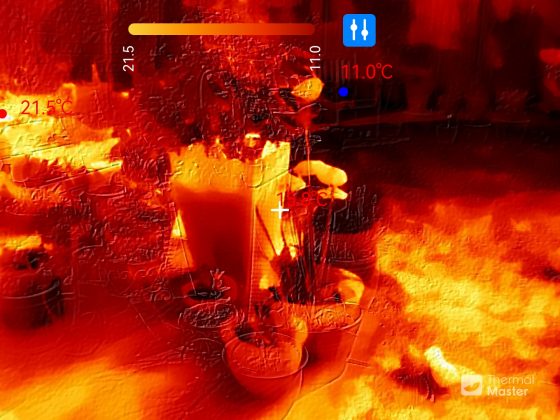 Обзор Thermal Master P4 &mdash; лучшая тепловизионная камера для телефона