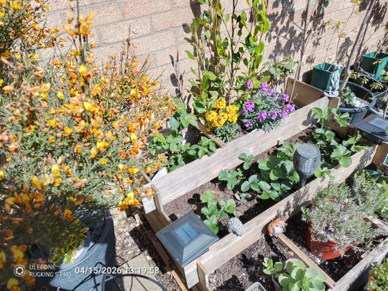 Обзор Ulefone RugKing 5 Pro &mdash; бюджетный &laquo;броневик&raquo;