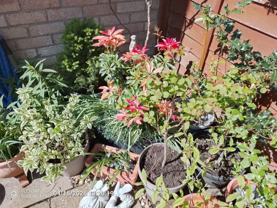 Обзор Ulefone RugKing 5 Pro &mdash; бюджетный &laquo;броневик&raquo;