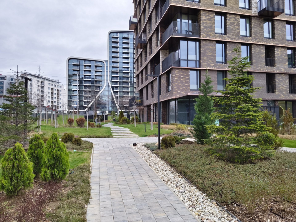 Обзор vivo V70 FE &mdash; автономность и мультимедиа