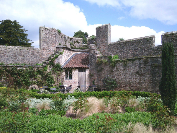 Обзор Yashica DigiPix 100: как колода игральных карт