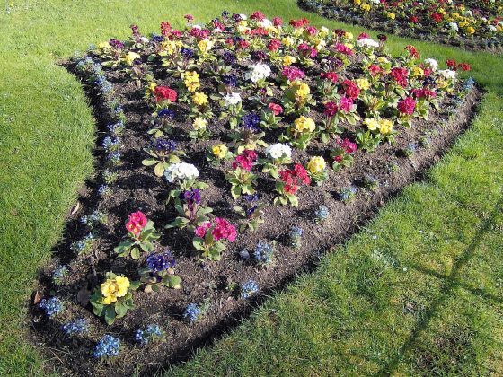 Обзор Yashica FX-D 100 &mdash; самая недорогая камера в линейке FX-D