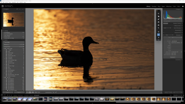 Обзор Excire Search 2026 &mdash; ИИ-поиск кадров в Lightroom Classic