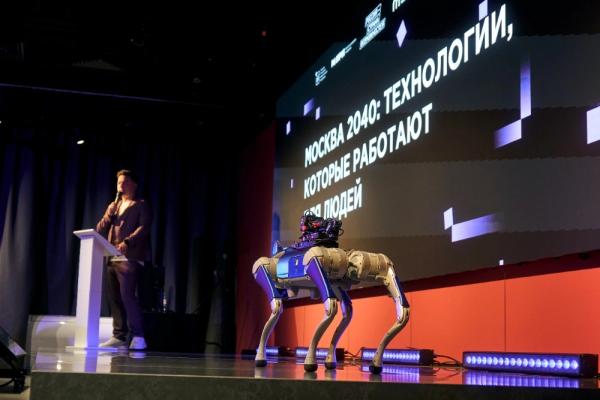 
Человек важнее ИИ. Показали итоги &laquo;Первого кубка нейроконтента-2026&raquo;    