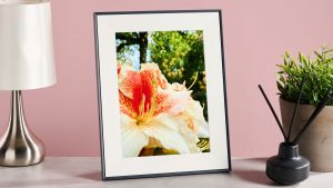 Обзор цифровой фоторамки Pexar: яркий дисплей без бликов Обзор цифровой фоторамки Pexar: яркий дисплей без бликов