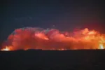 Во Львове побоялись устраивать выставку БПЛА после мощного удара под Киевом
