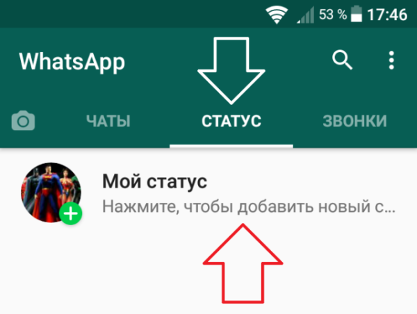Как посмотреть чужой статус в Ватсапе, чтоб тебя не заметили
