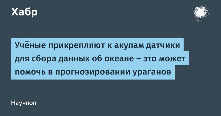 Акулы с датчиками помогут точнее прогнозировать ураганы: учёные начали сбор данных Акулы с датчиками помогут точнее прогнозировать ураганы: учёные начали сбор данных