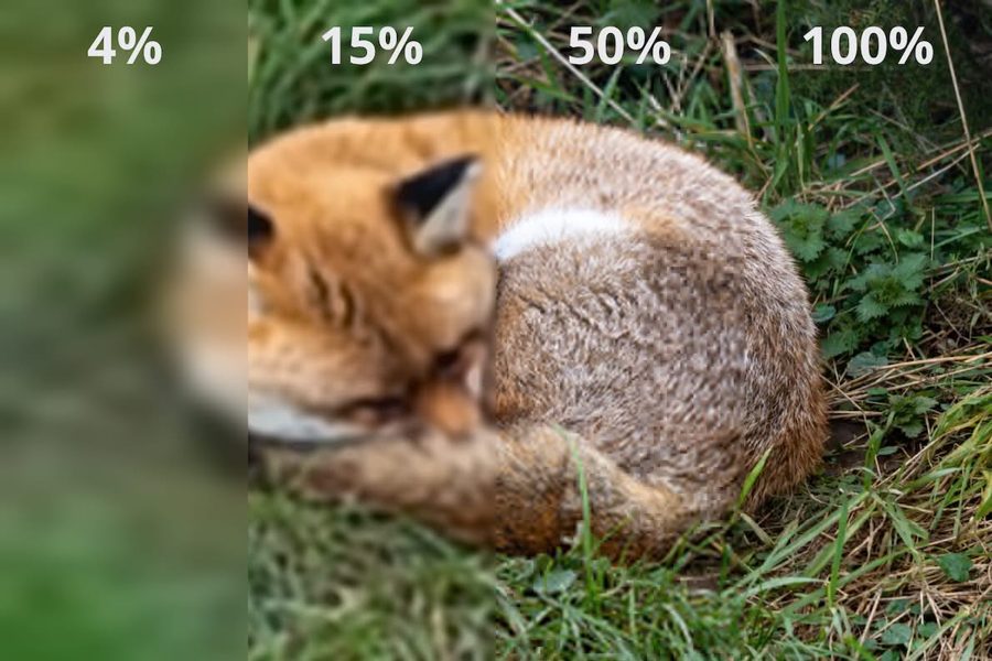 Firefox 157 включит поддержку JPEG XL по умолчанию — Mozilla сравнила его с AVIF