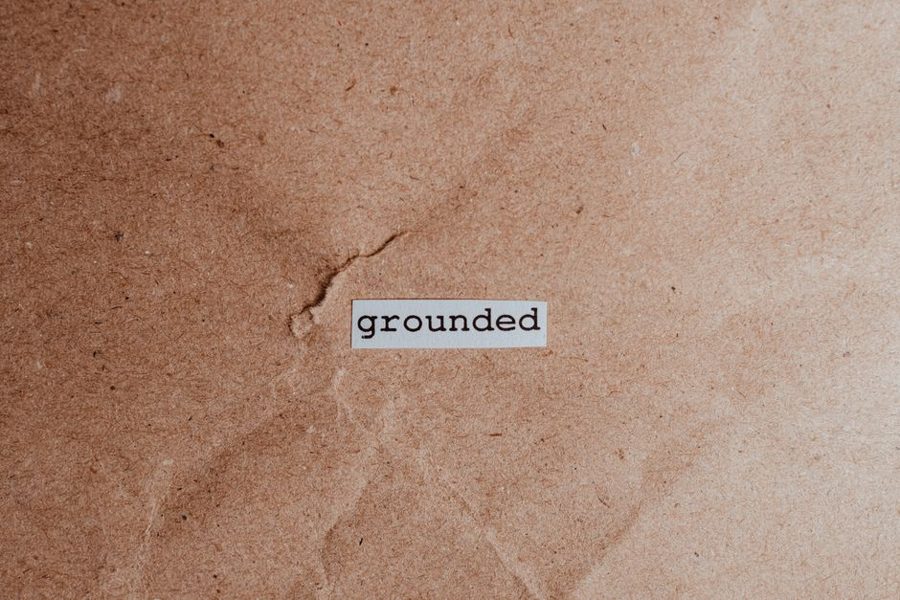 Grounded 2 получила крупнейшее обновление с подводным миром и вышла на PS5