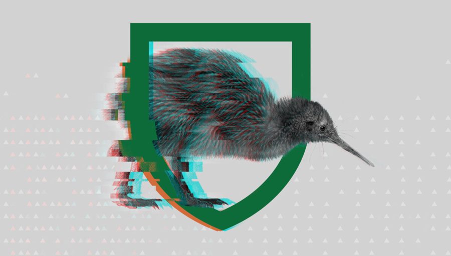 Новая Зеландия обвинила Китай в шпионаже через космические инвестиции Новая Зеландия обвинила Китай в шпионаже через космические инвестиции