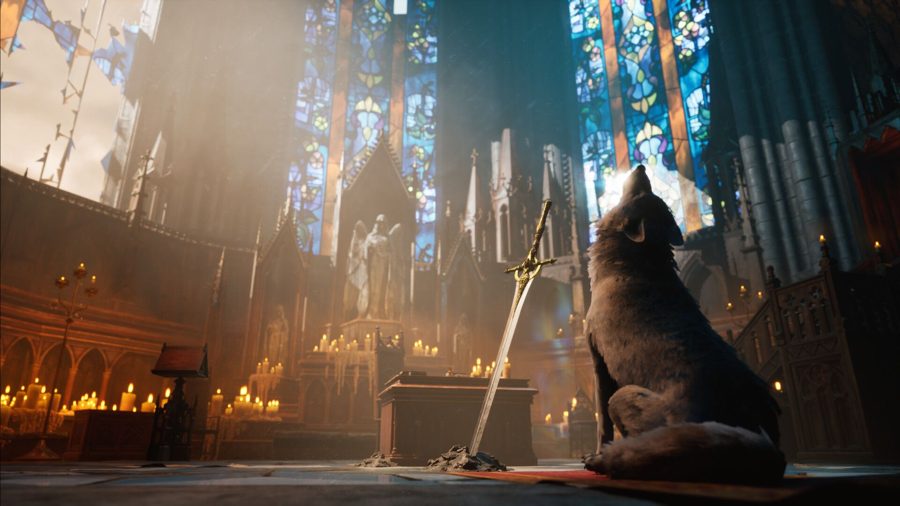В soulslike Stray Dog: Nobody Cares можно играть за пса с мечом в зубах — как в Sif из Dark Souls